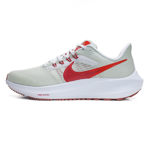 Nike Air Zoom Pegasus 39