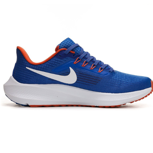 Nike Air Zoom Pegasus 39