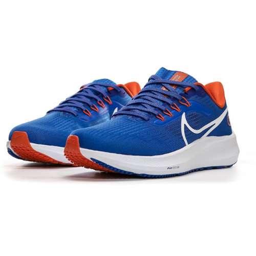 Nike Air Zoom Pegasus 39