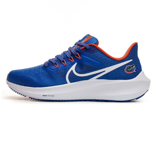 Nike Air Zoom Pegasus 39