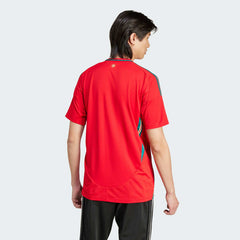 Wales 2024 Home Jersey