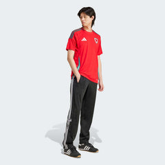 Wales 2024 Home Jersey