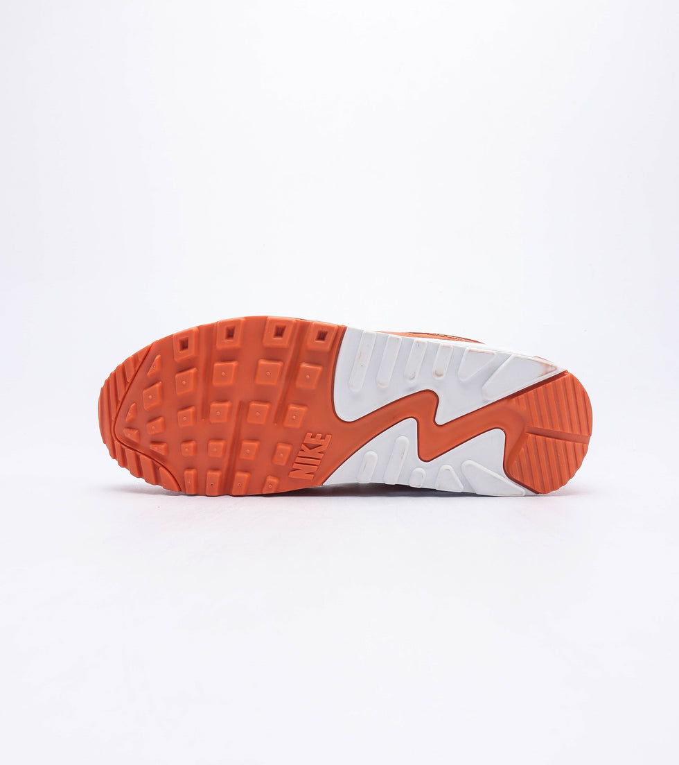 Nike Sportswear Air Max 90